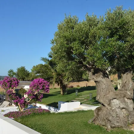 Appartamento Tenuta Tanaja- Exclusive Luxus Mit Gaestehaus, Pool Und Meerblick - Costa Smeralda, Olbia-porto Cervo Cugnana