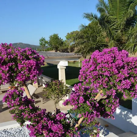 Tenuta Tanaja- Exclusive Luxus Mit Gaestehaus, Pool Und Meerblick - Costa Smeralda, Olbia-porto Cervo דירה