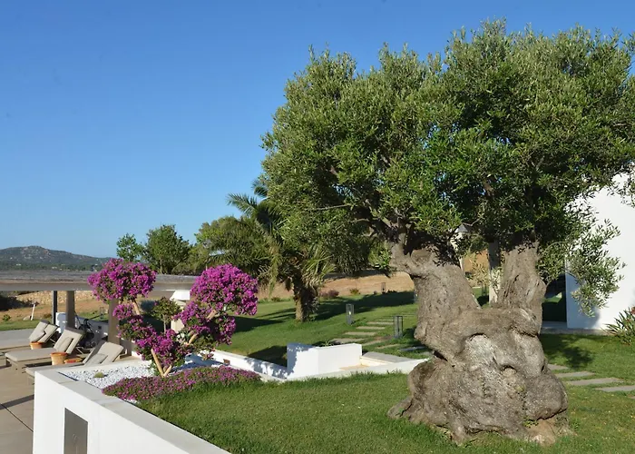 公寓 Tenuta Tanaja- Exclusive Luxus Mit Gaestehaus, Pool Und Meerblick - Costa Smeralda, Olbia-porto Cervo 库尼亚纳