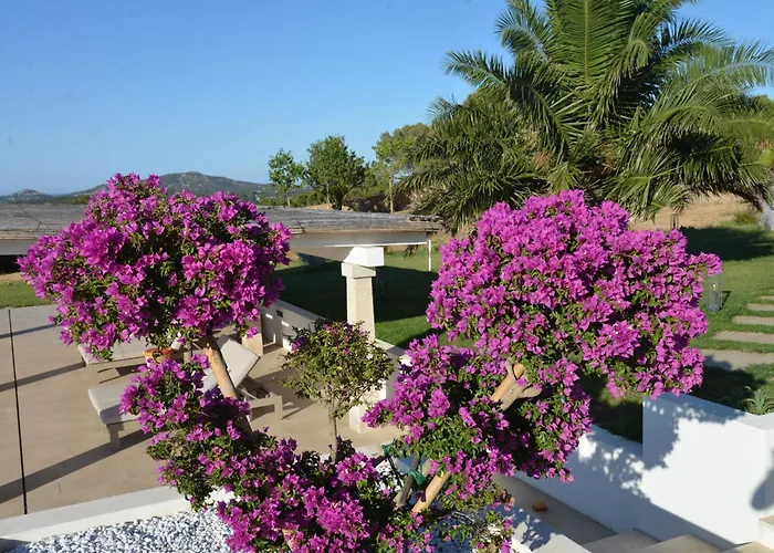 Tenuta Tanaja- Exclusive Luxus Mit Gaestehaus, Pool Und Meerblick - Costa Smeralda, Olbia-porto Cervo 公寓